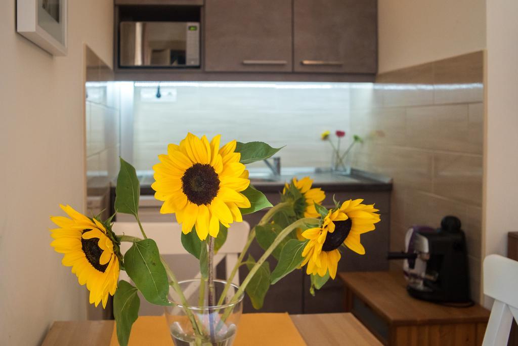 בודפשט Friendly Home In The Center מראה חיצוני תמונה
